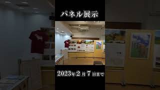 【岡山県庁】都内で某人気リーガルドラマの映画に出てくる木製ガチャガチャが実際に回せます！【イベント情報】 [upl. by Latoyia]