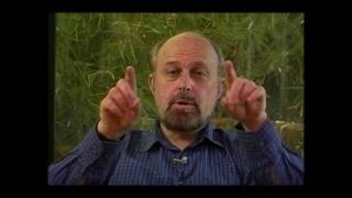 On the Transpersonal with James Fadiman PhD 1997 [upl. by Kelula]