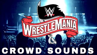 Wrestlemania 2020 Crowd Cheer Sound Effect  One Hour [upl. by Thetisa]