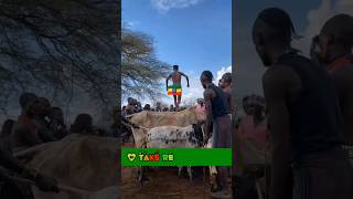 The jump 🐂 ritual ceremony at hamer village tribalmarriage africa africanpeople [upl. by Laro]