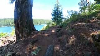 OR MTB McKenzie River Trail Part 6 [upl. by Cherey]