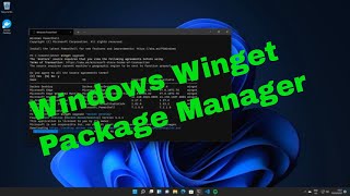 Windows Winget [upl. by Chemash]