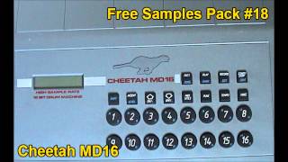 Free Samples Pack Vol 18 Cheetah MD16 [upl. by Florie673]