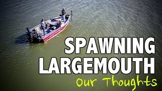 Thoughts on Spawning Largemouth Bass [upl. by Brooking]