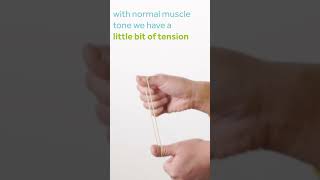 Muscle tone explained with a rubber band [upl. by Cigam]