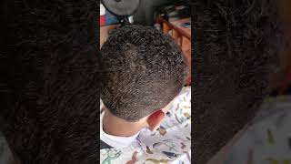 barbershop barber degrader degrade cabelo [upl. by Anelliw]