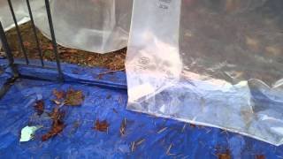 Diy convert gazebo to greenhouse in winter  part1 [upl. by Wolfson]