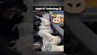 Gajab ki technology cow cattle calf milking cattlefarming shorts facts jugaad viral [upl. by Lenox]