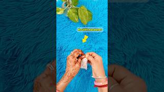 How to use Mouldit Clay  How to prepare Fevicryl Mouldit Claymeeshosareehaulonlineshoppinglippan [upl. by Oicul866]