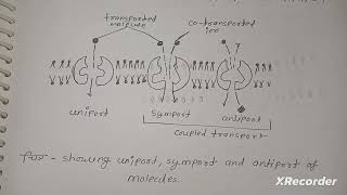 Permeability passive and active transport membrane channels and pump  full notes in hindi msc [upl. by Eirojram]