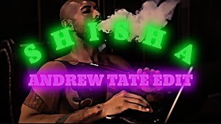 「 SHISHA 」 ANDREW TATE EDIT  4K [upl. by Sandberg]