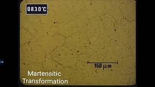 martensite formation [upl. by Hedgcock]