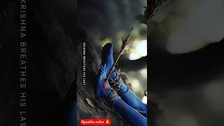 Lord Krishna death  Krishna status shorts youtubeshorts viral status krishna [upl. by Annayak630]