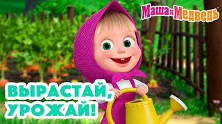 Маша и Медведь 🍓🍒 Вырастай урожай 🌼🌿🥕 Коллекция серий про Машу 2024 🎬 Час мультиков [upl. by Sirac342]