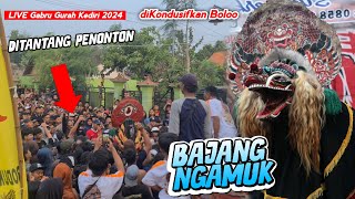 BAJANG NGAMUK DITANTANG PENONTON  Barongan Jaranan KARYA MUDA TARUNO JOYO Live Gabru Gurah Kediri [upl. by Icyak]