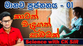 මානව ප්‍රජනනය ආරම්භය  grade 10  science  විද්‍යාව  10 ශ්‍රේණිය  lesson 14 day 01 CK science [upl. by Acinomed612]