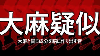 【大麻疑似体験」大麻と同じ成分を脳に生み出す音大麻（cannabis）マリファナ（marijuana）ガンジャ（Ganja）ハシシ（hashish）グラス・チョコ [upl. by Nimaj]