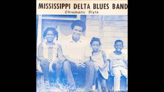 Mississippi Delta Blues Band  Chromatic Style 1986 [upl. by Ravert]