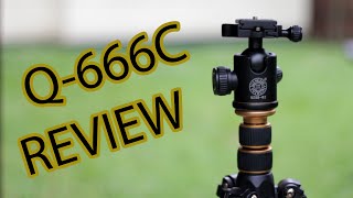 Best Budget Carbon Fiber Tripod Q666C Review [upl. by Hadik498]