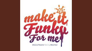 Make It Funky for Me Radio Edit [upl. by Rowen648]