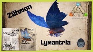 🦖ARK‬ Survival Evolved 🦖 Lymantria zähmen 2022 TamingINFO GUIDEDeutschDinos zähmen [upl. by Radack]