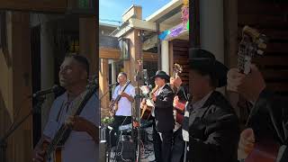 Me Voy Pal Pueblo  Top Mariachi Trio in Bay Area triomariachitepatitlan [upl. by Eillime485]