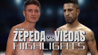 WILLIAM ZEPEDA VS LUIS VIEDAS HIGHLIGHTS  BOXING [upl. by Backler907]