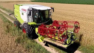 Moisson avec une nouvelle Claas Lexion 650 😎 [upl. by Eceined156]