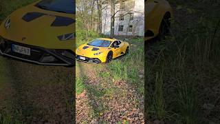 Ich fahre mit dem lambo durch den Wald es geht schief [upl. by Ertnom]