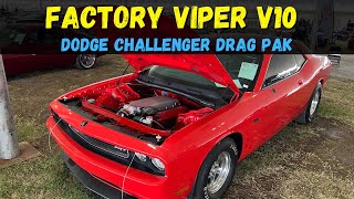 Factory Viper V10 Powered Dodge Challenger Drag Pak [upl. by Pernell]