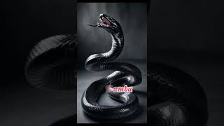 Top 5 Most Dangerous Snakes in the World snake animals wildlife trending shorts [upl. by Ko]