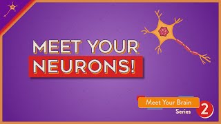 Meet Your Neurons  Lesson 2 [upl. by Daus]