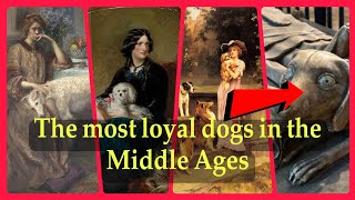 The story of the dogs of the medieval period  The most loyal dogs of all time [upl. by Kondon546]