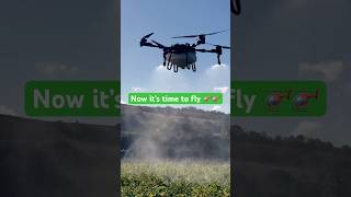 Agri Drone spraying on Parsnips shorts drone agriculturalequipment agriculture [upl. by Ruder306]