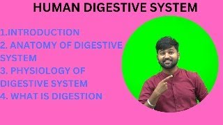 digestive system  digestive system of human body  Anatomy and Physiology of Digestive System [upl. by Sezen]