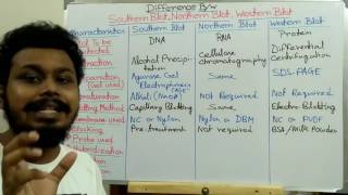 Difference between Southern blotting  Northern blotting and Western blotting [upl. by Charmine]