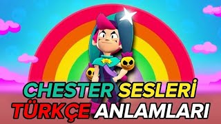 Chester Seslerinin TÜRKÇE ANLAMLARIBrawl Stars [upl. by Sherl458]