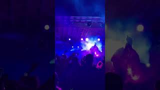 Large jams with SunSquabi at firelightsfestival  musicfestival funky jamband [upl. by Eerat]