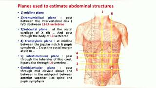 Abdomenpart 2planes quadrants and nine region of abdomen [upl. by Rubie638]