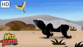 Amazing Adaptations Part 110  How Animals Survive in the Wild  Wild Kratts [upl. by Enalahs]