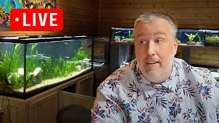 3 New Products at Aquarium CoOp Shopping Channel Live Stream [upl. by Une292]