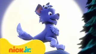 Patrulha Canina  Lobislhotes e Mistérios de Monstros  Nick Jr em Português [upl. by Waylan]