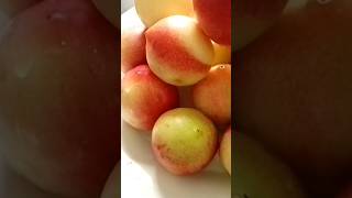 Nectarines are beneficial although there may be contraindications health fruit healthyfood life [upl. by Neellek941]