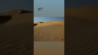 Rajasthan desert [upl. by Sucramd]