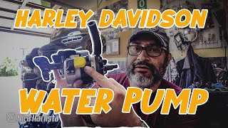 Harley Davidson Water Pump  Rushmore 20142016  Update [upl. by Allecnirp800]