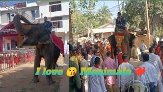 love 😘 Monimala ❤️ Rath Yatra [upl. by Nonnad809]