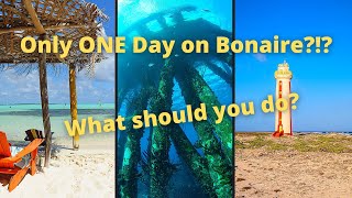 What to do with only ONE day on Bonaire [upl. by Anadal]