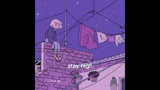 SŁAW  STAY HIGH remix [upl. by Scott]