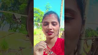 Malaria ke bare mein machar ke shortvideo mintifans comedy vairalvideo tereding song [upl. by Nightingale]