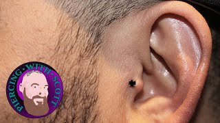 The Whole Truth  Tragus Piercing [upl. by Haelahk387]